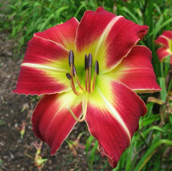SEPTEMBER_FLAME